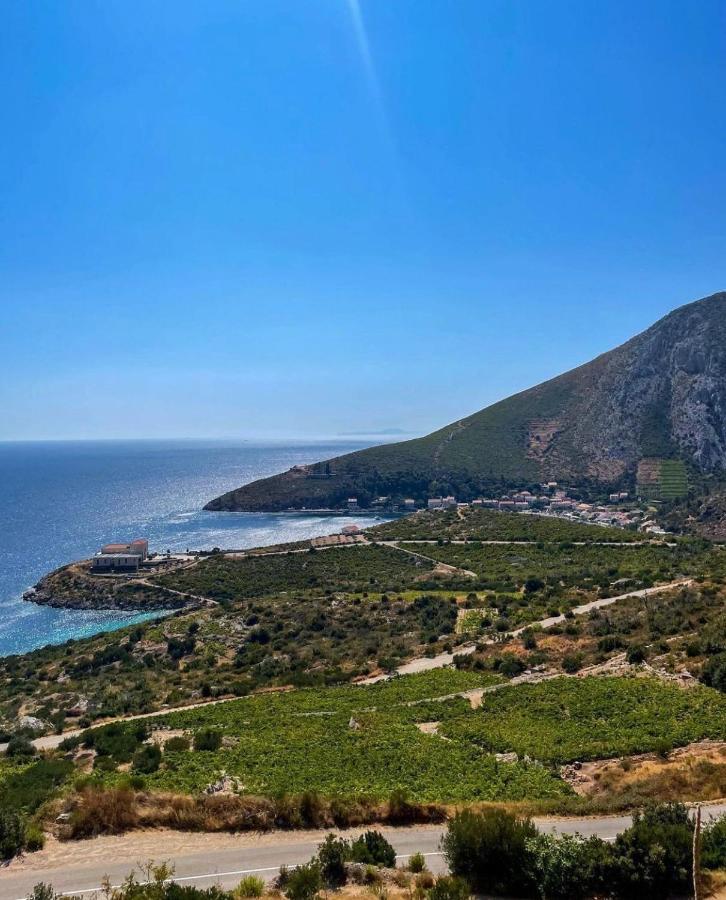 @Trstenik ترستينيك المظهر الخارجي الصورة