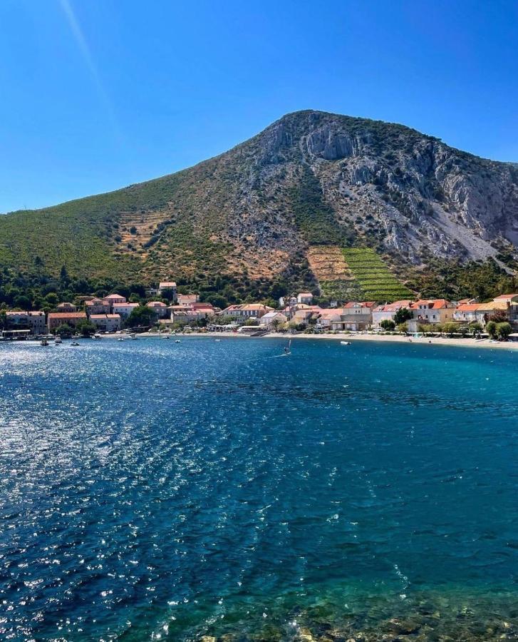 @Trstenik ترستينيك المظهر الخارجي الصورة