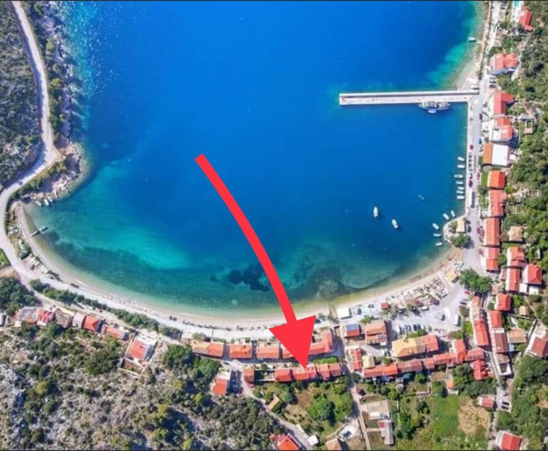 @Trstenik ترستينيك المظهر الخارجي الصورة
